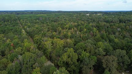 Undeveloped Land for sale in Harrison County, Texas