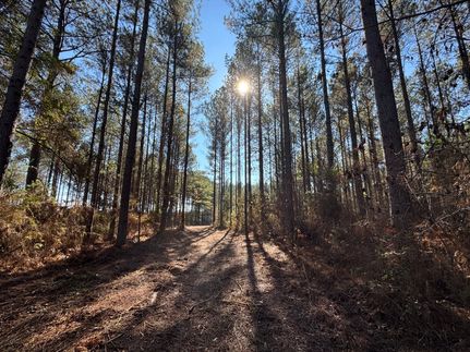 Land for sale in Chambers County, Alabama