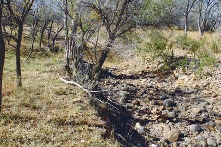 Land for sale in Cochise County, Arizona