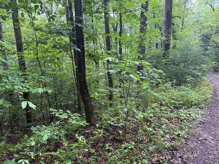 Land for sale in Macon County, North Carolina