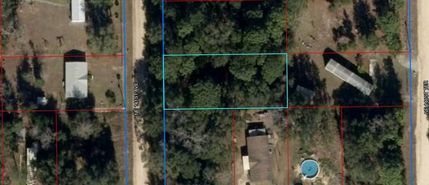 Undeveloped Land for sale in Levy County, Florida