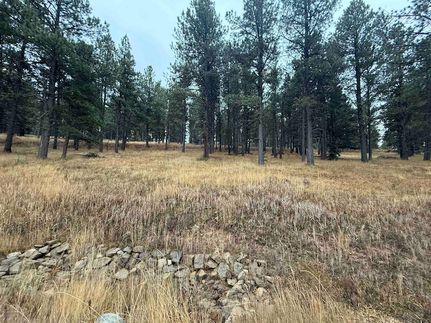 Land for sale in Colfax County, New Mexico