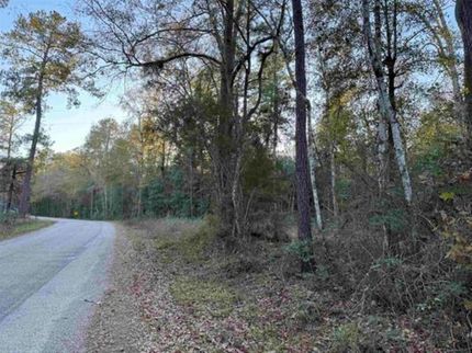 Land for sale in Jasper County, Texas