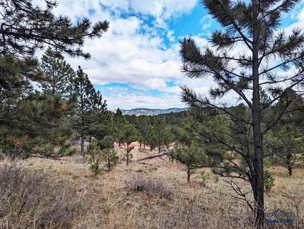 Land for sale in Custer County, South Dakota