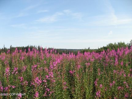 Land for sale in Kenai Peninsula Borough, Alaska