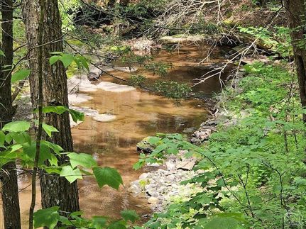 Land for sale in Greene County, New York