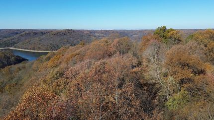 Undeveloped Land for sale in DeKalb County, Tennessee