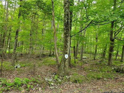 Land for sale in Monroe County, Pennsylvania