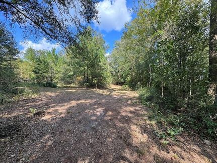 Land for sale in Telfair County, Georgia