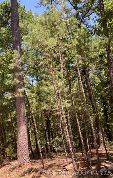 Land for sale in Pushmataha County, Oklahoma