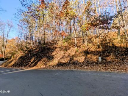 Undeveloped Land for sale in Sevier County, Tennessee