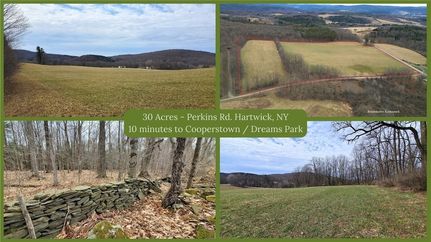 Undeveloped Land for sale in Otsego County, New York