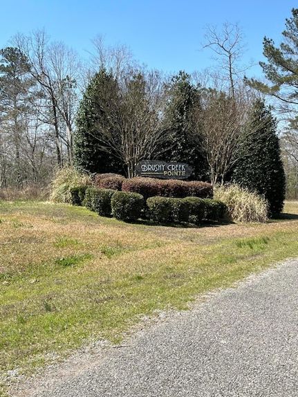 Land for sale in Winston County, Alabama