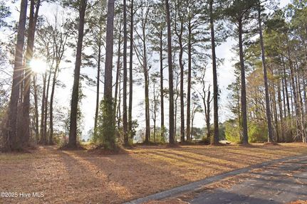 Land for sale in Pamlico County, North Carolina