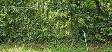 Undeveloped Land for sale in Washington County, Virginia