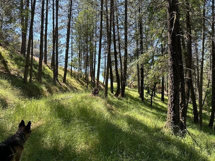 Land for sale in El Dorado County, California