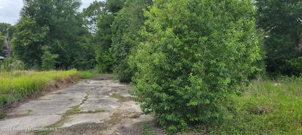 Land for sale in Hernando County, Florida