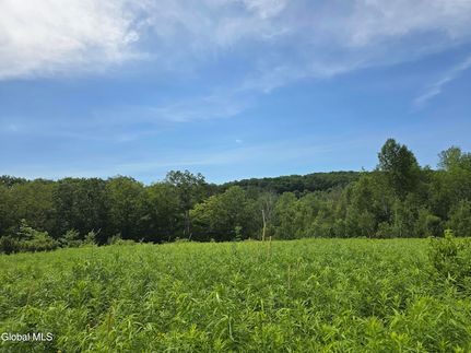 Land for sale in Rensselaer County, New York