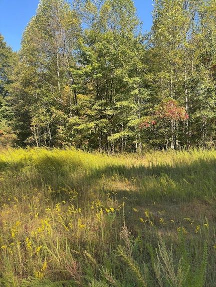 Land for sale in Fayette County, West Virginia