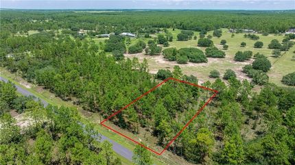 Undeveloped Land for sale in Levy County, Florida