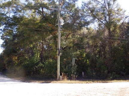 Homesite for sale in Levy County, Florida