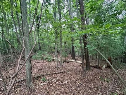 Undeveloped Land for sale in Pulaski County, Virginia