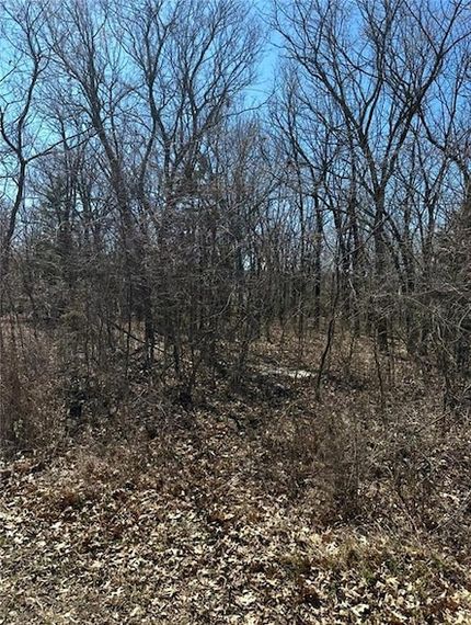 Undeveloped Land for sale in Linn County, Kansas