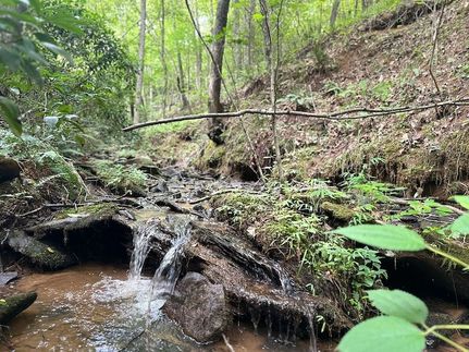 Land for sale in Fannin County, Georgia