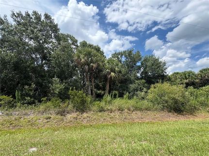 Land for sale in Okeechobee County, Florida