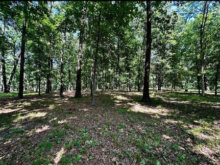 Land for sale in Shelby County, Illinois