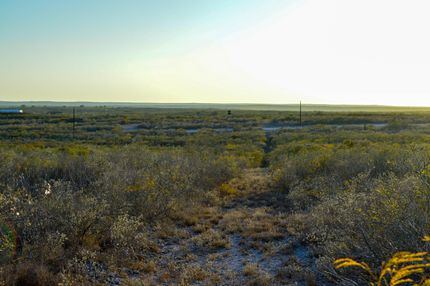 Land for sale in Live Oak County, Texas