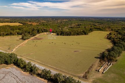 Land for sale in Coffee County, Alabama