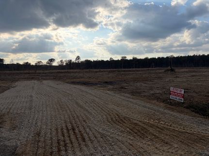 Land for sale in Morehouse Parish, Louisiana