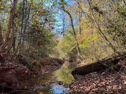 Land for sale in Elbert County, Georgia
