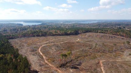 Land for sale in Laurens County, South Carolina