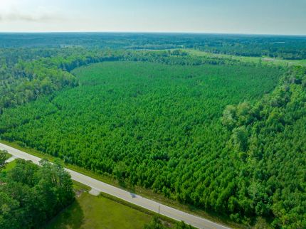 Land for sale in Horry County, South Carolina