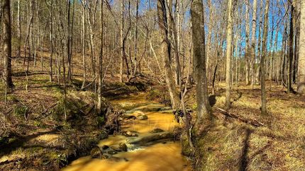 Land for sale in Elbert County, Georgia