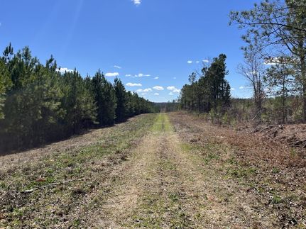 Land for sale in Elbert County, Georgia