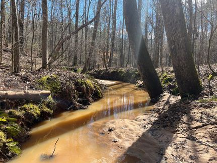 Timberland Property for sale in Elbert County, Georgia