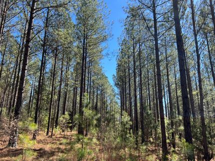 Timberland Property for sale in Elbert County, Georgia