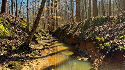 Timberland Property for sale in Elbert County, Georgia