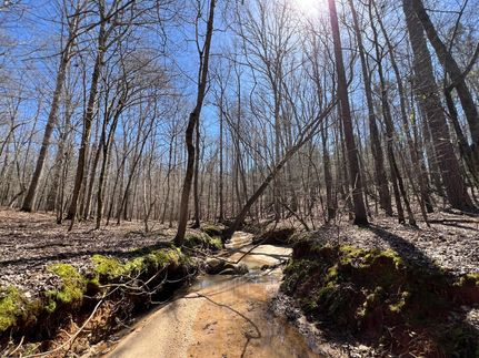 Land for sale in Elbert County, Georgia