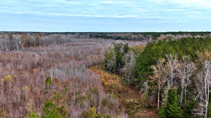 Land for sale in Berkeley County, South Carolina