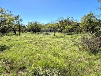 Land for sale in Brown County, Texas