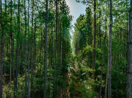 Land for sale in Horry County, South Carolina