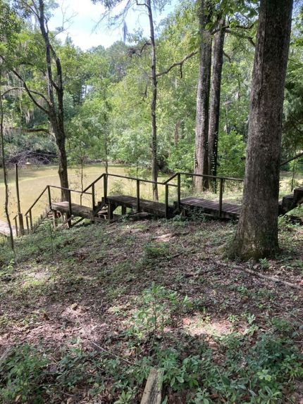 Land for sale in Clarke County, Alabama