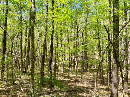 Land for sale in Elmore County, Alabama