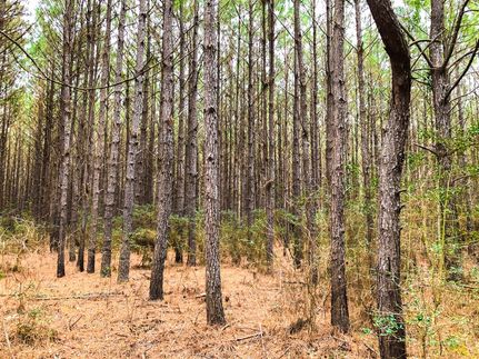 Land for sale in Tyler County, Texas