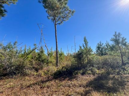 Land for sale in Hardin County, Texas