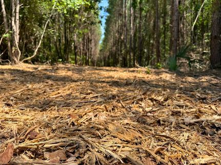 Land for sale in Polk County, Texas